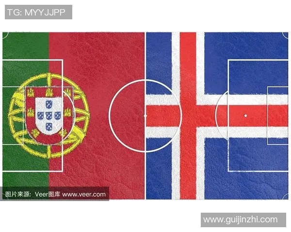 葡萄牙与冰岛比赛主裁判表现分析及其对比赛结果的影响 葡萄牙与冰岛比赛主裁判表现分析及其对比赛结果的影响